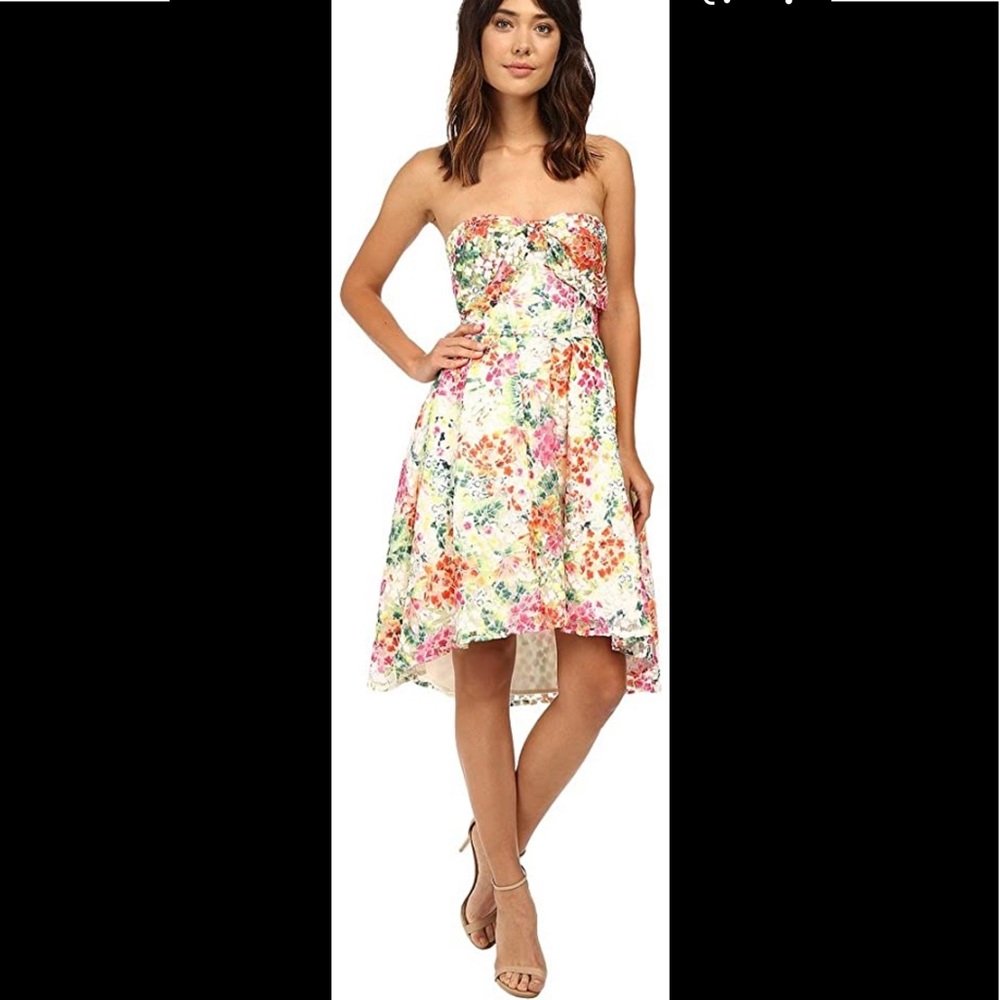 Eva Franco NWT floral hi-lo bustier dress